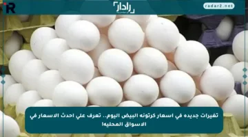 تغيرات جديدة في أسعار كرتونة البيض اليوم.. تعرف على أحدث الأسعار في الأسواق المحلية!